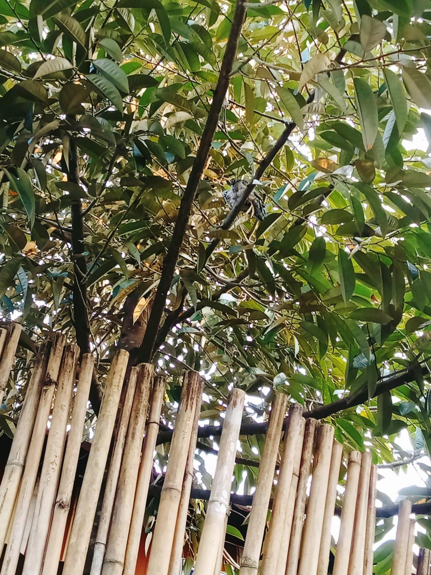 Go Chanh Homestay 까이랑 외부 사진